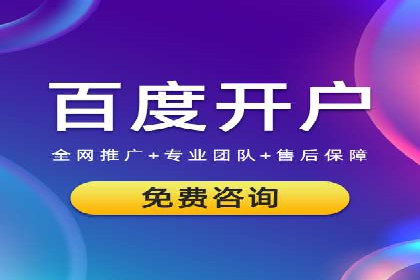 某企业SEM广告投放的ROI提升之路